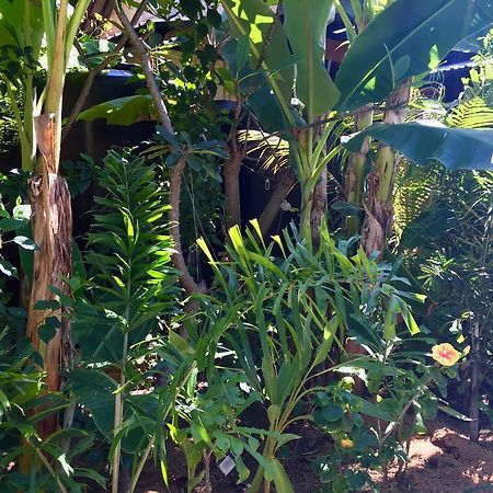 Mahogany Cottage Gili Meno Ngoại thất bức ảnh