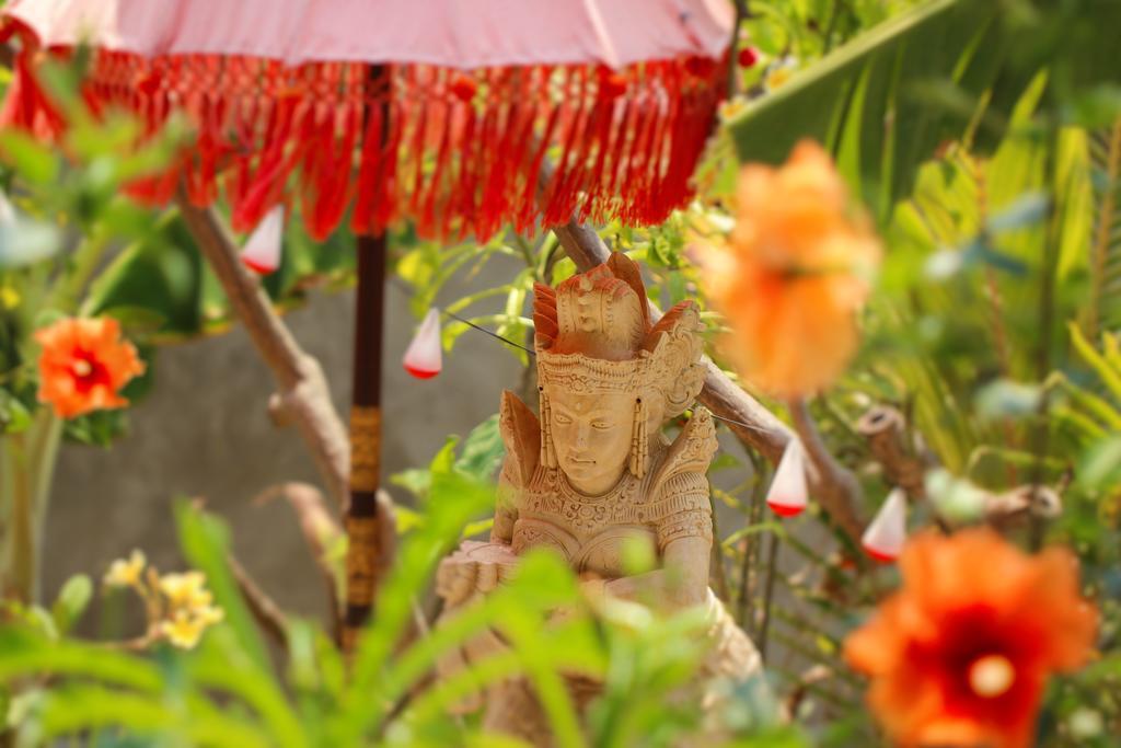 Mahogany Cottage Gili Meno Ngoại thất bức ảnh