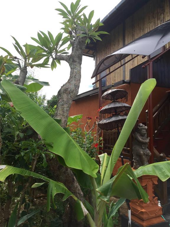 Mahogany Cottage Gili Meno Phòng bức ảnh