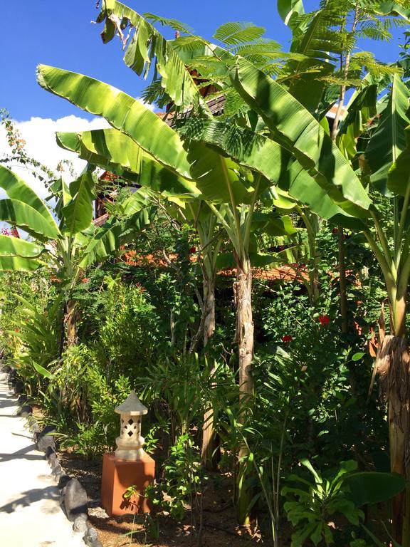 Mahogany Cottage Gili Meno Ngoại thất bức ảnh