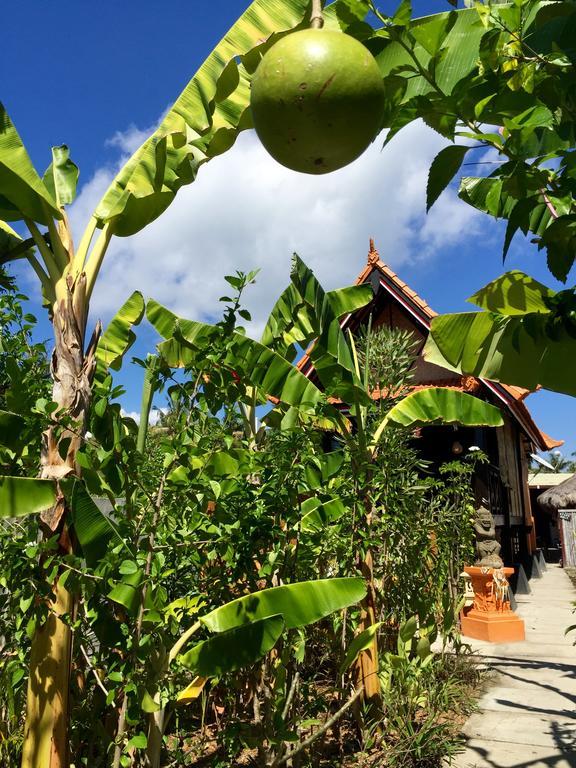 Mahogany Cottage Gili Meno Ngoại thất bức ảnh