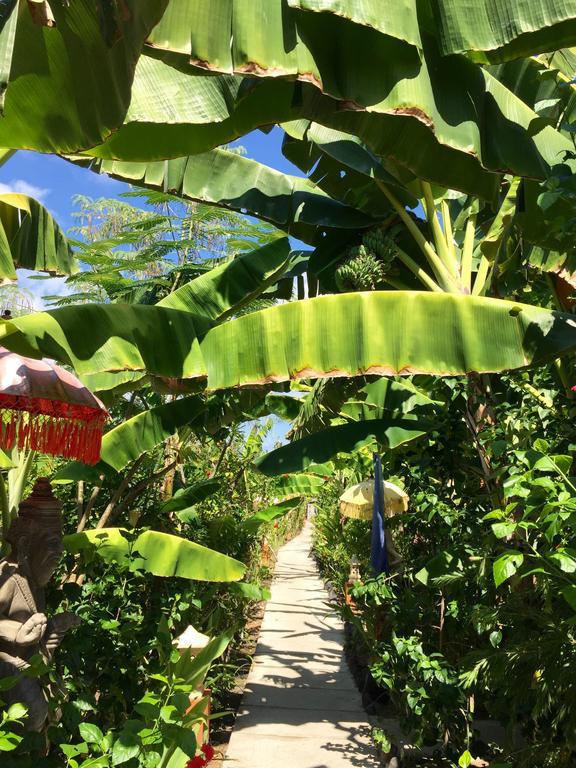 Mahogany Cottage Gili Meno Ngoại thất bức ảnh